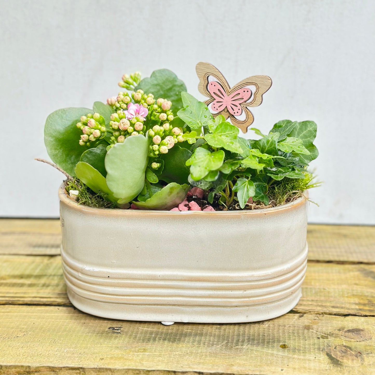 Calanchoe Ceramic planter