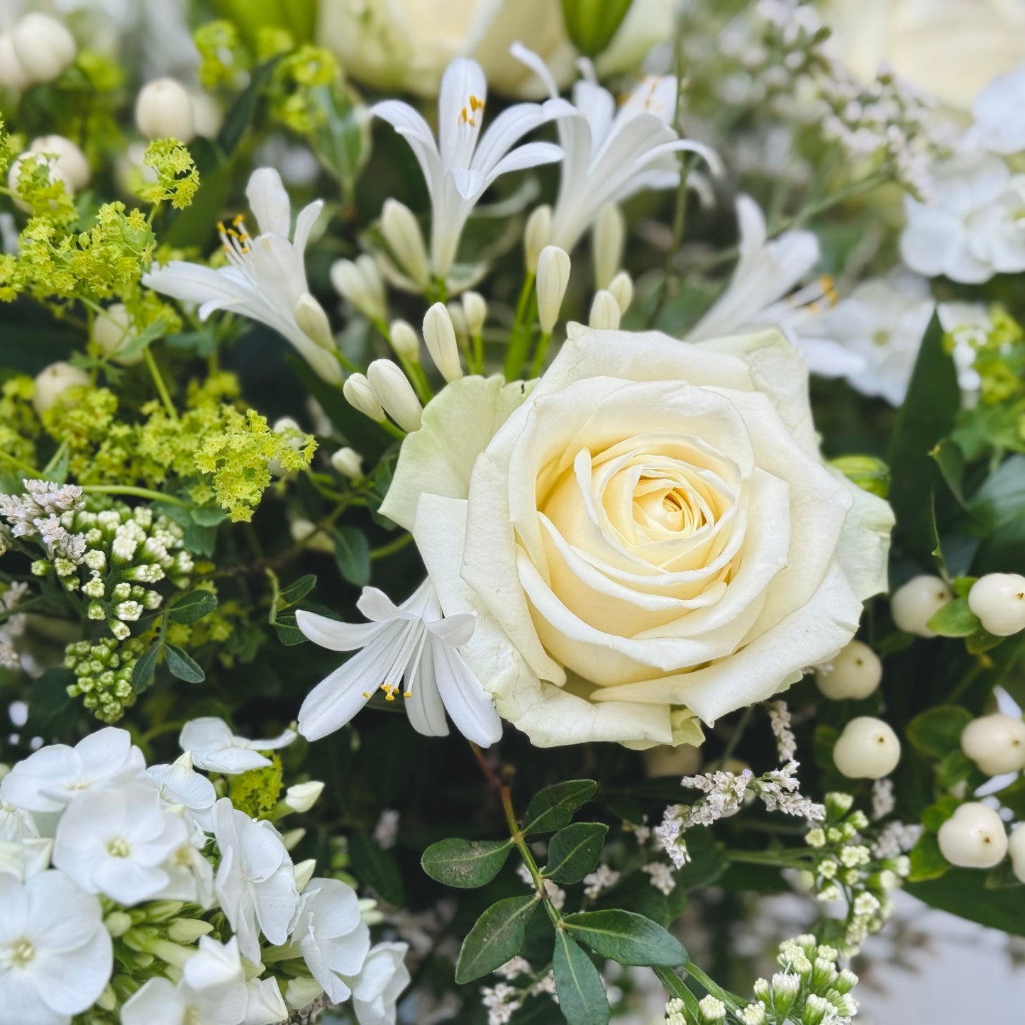 Delightful White