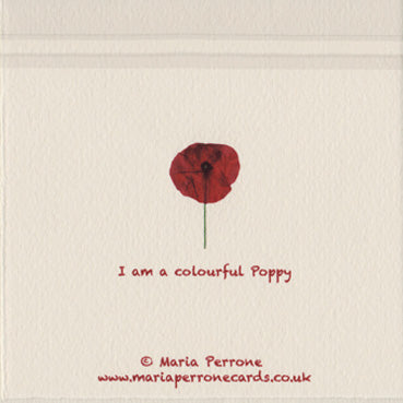 Colourful Poppy