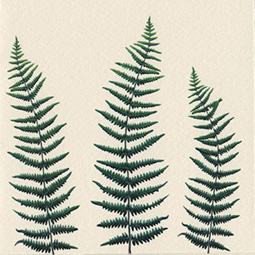 Crowd of Waving Ferns