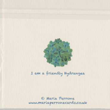 Friendly Hydrangea