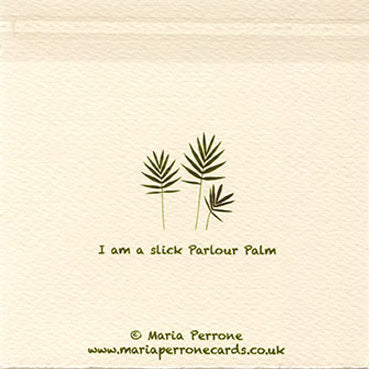 Parlour Palm