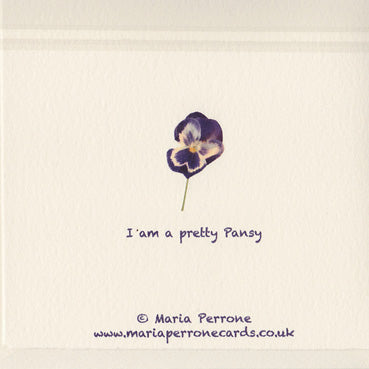 Pretty Pansy