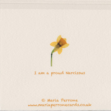 Proud Narcissus